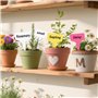 180 Pièces Etiquette Plante,étiquettes pour plantes en plastique de qualité,40 étiquettes blanches + 140 étiquettes colorée,Etiq