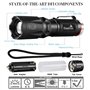 DaskFire 2 en 1 Lampe Torche Set LED Puissante 900Lumens Lampe UV 395NM Lumière Ultraviolet 4 Modes Eclairage Lampe de Poche Zoo