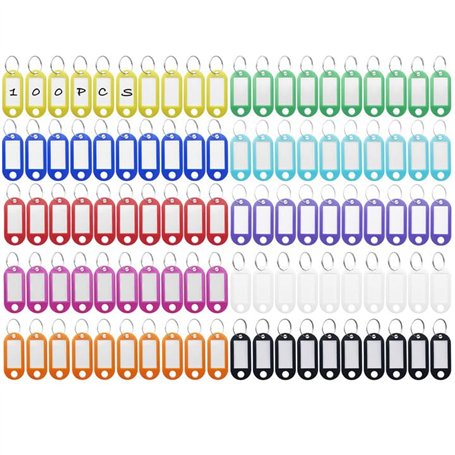 Rseuphiee 100 Pièces Porte-Clés