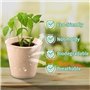 50 Pièces Pot Semis Biodégradable 8cm Bassin de Greffe en Fibresrond Pots de Semis Pots de Plantes avec 50 Étiquettes de Plantes