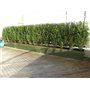 Cisailles de jardinage