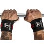 Musculation