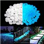 Jardin Decoration Ex