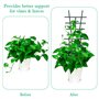 Treillis de Jardin pour Plantes Grimpant