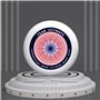Frisbee (175 g)