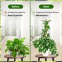 weiclianhp Tuteur MonsteraPlante Grimpante 125cm Pliable avec Attaches Torsadées - Support Durable pour Monstera, Jardin et Inté
