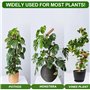 weiclianhp Tuteur MonsteraPlante Grimpante 125cm Pliable avec Attaches Torsadées - Support Durable pour Monstera, Jardin et Inté