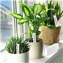 YZROHYI 300 Pièces Étiquettes en Plastique pour Plantes,Etiquette Semis Réutilisable,Étiquette Jardinage Blanche,Etiquette de Pl