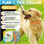 4 Pièces Anti Tiques pour Chien