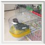 Baignoire D'Oiseau BoîTe Bain Jouet - Suspendu Perruche Baignoires pour Oiseaux Perroquets avec Crochets Nourrisseur Plupart des