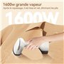Défroisseur vertical portatif 1600 W pour la maison
