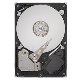 'Seagate ST31000528AS Disque Dur de 1 TB (SATA
