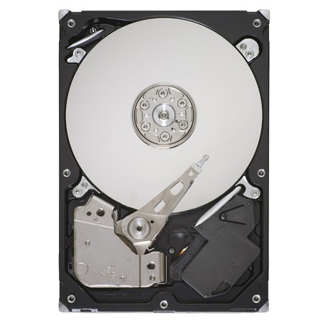 'Seagate ST31000528AS Disque Dur de 1 TB (SATA