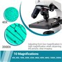 Microscope pour Enfant Étudiante et Adulte 250X-2000X Portable Microscope Optique Professionnel Microscope Monoculaire étudiants