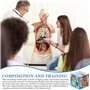 Cube d'étude d'anatomie humaine, outil d'apprentissage anatomique humaine, outil d'apprentissage pour étudiants en médecine, cub