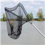 Aicharynic Épuisette de pêche télescopique de 50 cm avec filet de pêche pliable - Épuisette télescopique - Accessoire de pêche p