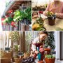 Lot de 160 étiquettes pour plantes - Étiquettes pour plantes - Avec stylo de marquage pour graines en pot, légumes fermiers - 40