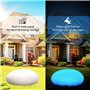 Drcowu Lampe Solaire Exterieur Decorative – Lampe Solaire Exterieur Jardin avec 16 couleurs et télécommande – Éclairage pour Jar