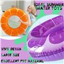 Chennyfun 5 Pièce Jouet de Piscine, Anneau de Natation 90 cm et Ballon de Plage avec Gonfleur, Décoration D'été pour La Plage La