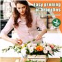 3 Pièces Secateur de Jardin,Secateur Acier Inoxydable,Ciseaux Bonsai Précision Plage de CoupeØ5mm,Cisaille de Jardin pour Branch