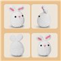 Kit de Crochet Zepiany pour Débutants - Tutoriels Vidéo en Français - Amigurumi Animaux - Kit de Démarrage avec Tout le Nécessai