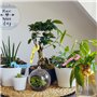 300 Pièces Étiquettes de Plantes en Plastique Reutilisable Suspendus Étiquettes Plantes R