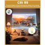 Klarlight G6.35 Ampoules Halogènes 150W Dimmable Blanc Chaud 3000K, GY6.35 Lampes à Capsule Halogène 2-Pin DC 24V pour Lustres, 