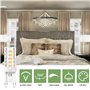 Bonlux Ampoule G9 LED Blanc Chaud 3000K Dimmable, 4W Équivalent 40W Lampe Halogène 300LM AC220-240V 10PCS
