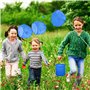 les insectes