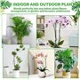 KAHEIGN 6 Pièces Piquets de Support pour Plantes à Brindilles Détachables, 70CM Bâtonnets de Plantes à Branches Poteaux D’Escala