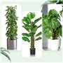 KAHEIGN 8 Pièces Poteaux en Mousse en Plastique, 38CM Empilable Poteau D’Escalade pour Plantes Rechargeable Piquets de Support C