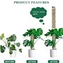 KAHEIGN 8 Pièces Poteaux en Mousse en Plastique, 60CM Empilable Poteau D’Escalade pour Plantes Rechargeable Piquets de Support C
