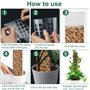 KAHEIGN 8 Pièces Poteaux en Mousse en Plastique, 60CM Empilable Poteau D’Escalade pour Plantes Rechargeable Piquets de Support C