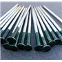 KAHEIGN 50 Pièces Clous Artificiels Résistants D'herbe, 5mm x 150mm Clous Galvanisés à Tête Ronde Clous en Acier pour Fixation d