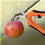 2 Secateurs Lames Courbees Sécateur de Jardinage À Main pour Bonsaï Outillage de Jardin pour Bonsai Fleurs Roses Plantes Fruits 