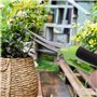 2 Secateurs Lames Courbees Sécateur de Jardinage À Main pour Bonsaï Outillage de Jardin pour Bonsai Fleurs Roses Plantes Fruits 