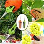 2 Secateurs Lames Courbees Sécateur de Jardinage À Main pour Bonsaï Outillage de Jardin pour Bonsai Fleurs Roses Plantes Fruits 