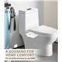 Bidet Toilette WC, Bidet Japonais encastré avec pression d'eau réglable, double buse auto-nettoyante escamotable