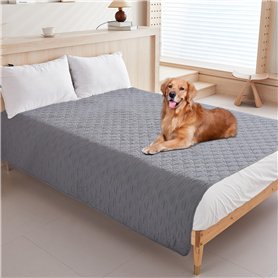 Zhufas Couverture Chien