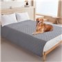 Zhufas Couverture Chien