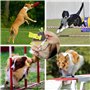 Elfinfi Sifflet Ultrason Chien, Sifflet Chien Rappel, Sifflet Chien avec 2 Longes, Sifflet Ultrason Chien Anti Aboiement, Fort e