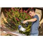 Magnum by Graco 26D361 TrueCoat 360 Cordless Connect, Pistolet à Peinture airless portatif sans Fil, pulvérisateur-perceuse, Uti