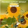 KAHEIGN 100Pcs Pinces pour Plantes de Jardin, Pinces de Support de Jardinage en Serre Réutilisables pour Parterres de Fleurs Vig