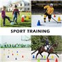 Cônes d'entraînement de F