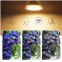 Luxvista 220V LED GU5.3 MR16 LED Blanc Chaud 3000K 5W Spot LED Remplace 50 Watt GU5.3 Projecteur Halogène MR16 Réflecteur Lampe 