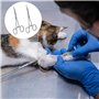 LUMOOM 2PCS Décrocheur À Hameçon, Pince À Lancer, Têtes Courbées, Pince Hémostatique Pour Chats Et Chiens, Pince À Pêche, Pince 