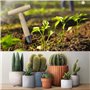 LUMOOM Outils de plantation de bulbes en bois - Avec calibrage et poignée en bois - Outils de jardinage traditionnels - Distribu