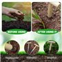 LUMOOM Outils de plantation de bulbes en bois - Avec calibrage et poignée en bois - Outils de jardinage traditionnels - Distribu