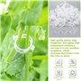 Clips de Vigne en