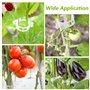 NAROSEBE 300 Pcs Clips de Support pour Plantes, Attache Plante Tuteur Φ 27mm, Clips de Fixation pour Tomates, Clips de Vigne en 